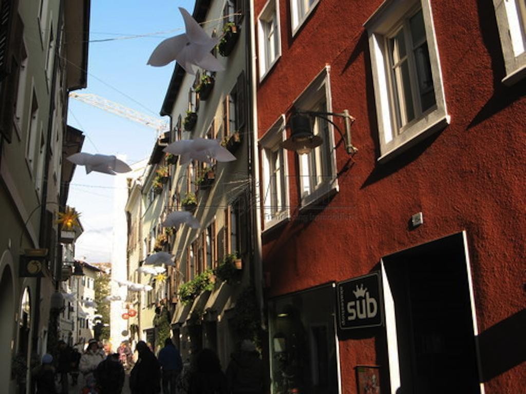 Ulivo Suites - Apartments Bolzano Eksteriør billede